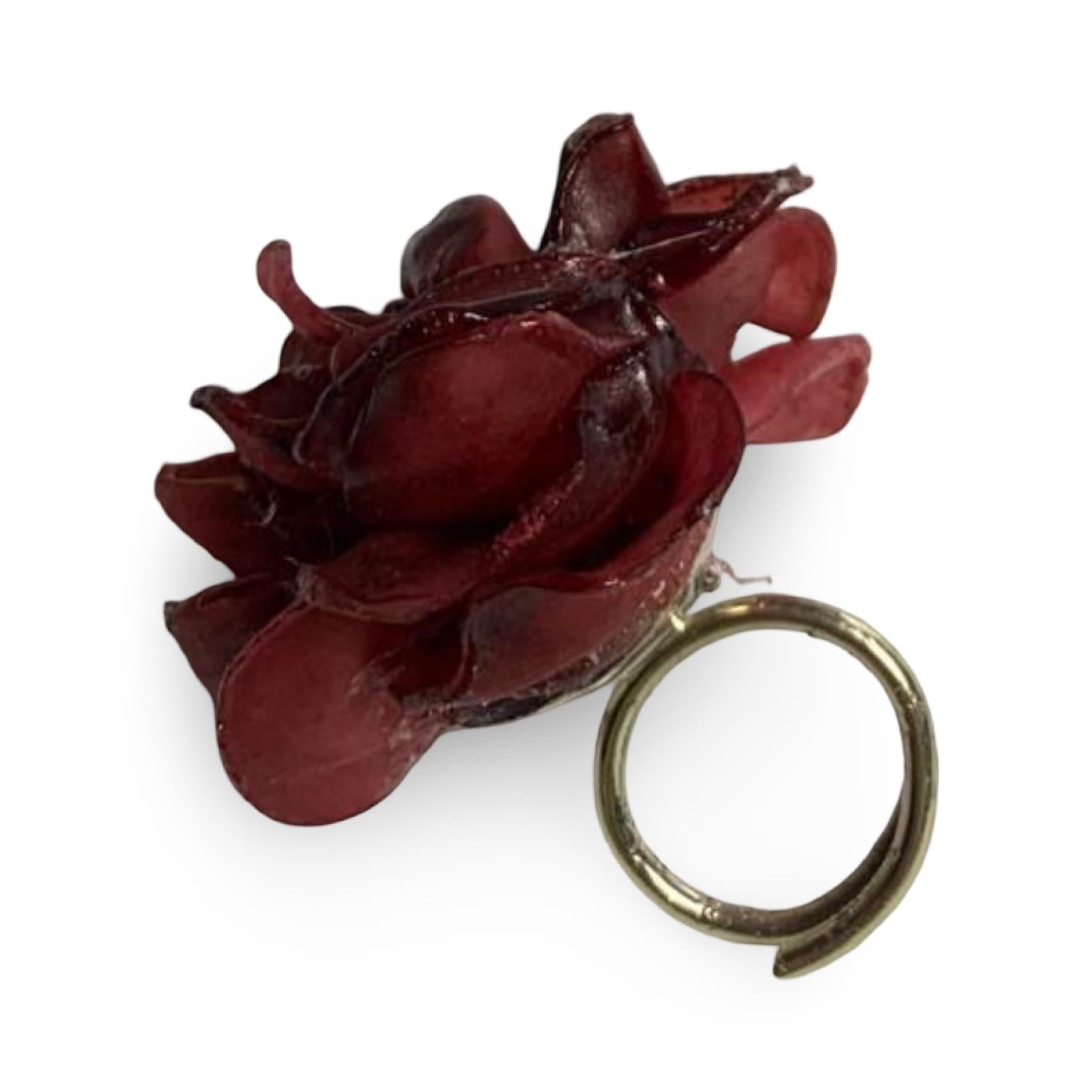 ANILLOS
