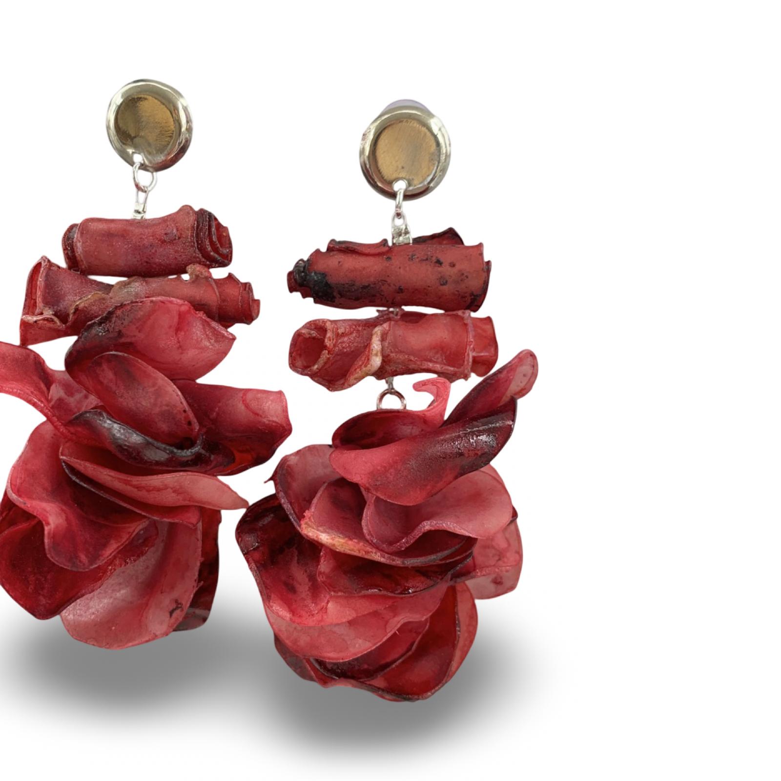 ARRECIFE CORAL ROJA PLATEADA